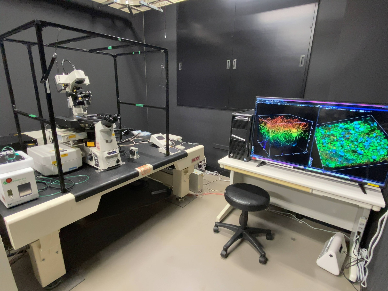 station-6:高速多光子共焦点レーザー顕微鏡 – 北海道大学ニコン